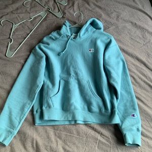 champion baby blue hoodie